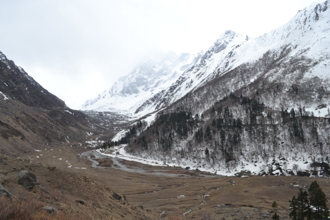 Har-Ki-Doon Valley, with Mount Swargrohini in view